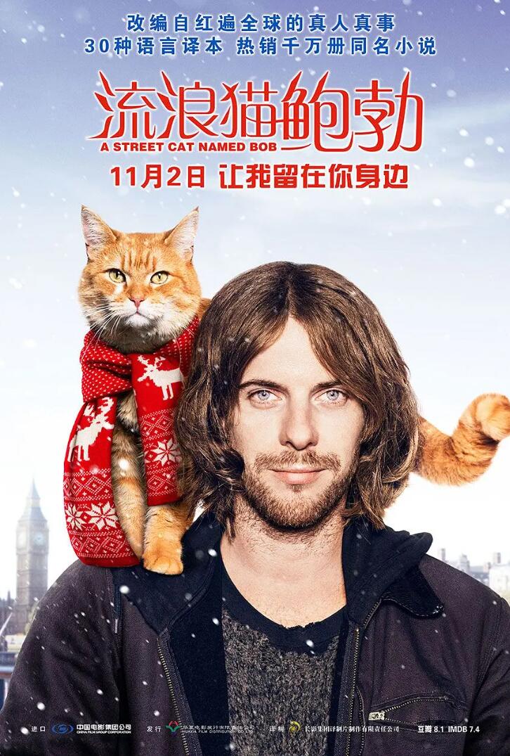 真实事件炸裂演技鲍勃本猫出演《流浪猫鲍勃》60高帧率2160P片源